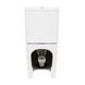 Унітаз-компакт Qtap Scorpio безобідковий з сидінням Soft-close QT14226002W SD00042527 фото 5