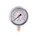 Манометр із гліцерином Thermo Alliancе Forte 6 бар, 1/4"З, нижнє підключення TAF170G6B SD00053544 фото 1
