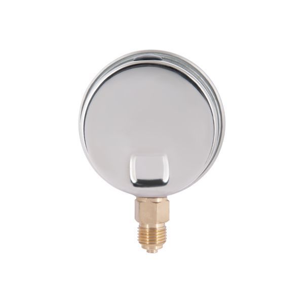 Манометр із гліцерином Thermo Alliancе Forte 10 бар, 1/4"З, нижнє підключення TAF170G10B SD00053545 фото