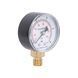 Манометр Thermo Alliance Standart 10 бар 1/4", нижнє підмикання SD17010B SD00021358 фото 4