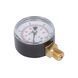 Манометр Thermo Alliance Standart 10 бар 1/4", нижнє підмикання SD17010B SD00021358 фото 5