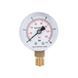 Манометр Thermo Alliance Standart 10 бар 1/4", нижнє підмикання SD17010B SD00021358 фото 1