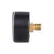 Манометр Thermo Alliance Standart 6 бар 1/4" , заднє підмикання SD1716B SD00021359 фото 6