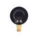 Манометр Thermo Alliance Standart 50 мм 1/4", нижнє підмикання SD1704B SD00006077 фото 6