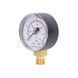Манометр Thermo Alliance Standart 50 мм 1/4", нижнє підмикання SD1704B SD00006077 фото 3