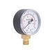 Манометр Thermo Alliance Standart 50 мм 1/4", нижнє підмикання SD1706B SD00006081 фото 4