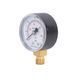 Манометр Thermo Alliance Standart 50 мм 1/4", нижнє підмикання SD1706B SD00006081 фото 3