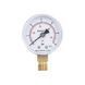 Манометр Thermo Alliance Standart 50 мм 1/4", нижнє підмикання SD1706B SD00006081 фото 1