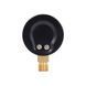 Манометр Thermo Alliance Standart 50 мм 1/4", нижнє підмикання SD1706B SD00006081 фото 6